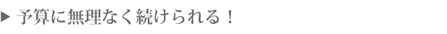 予算に無理なく続けられる!